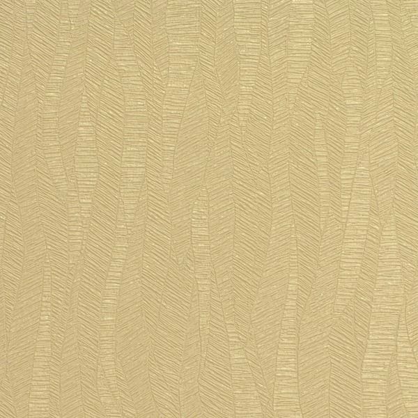 Featured Product Image