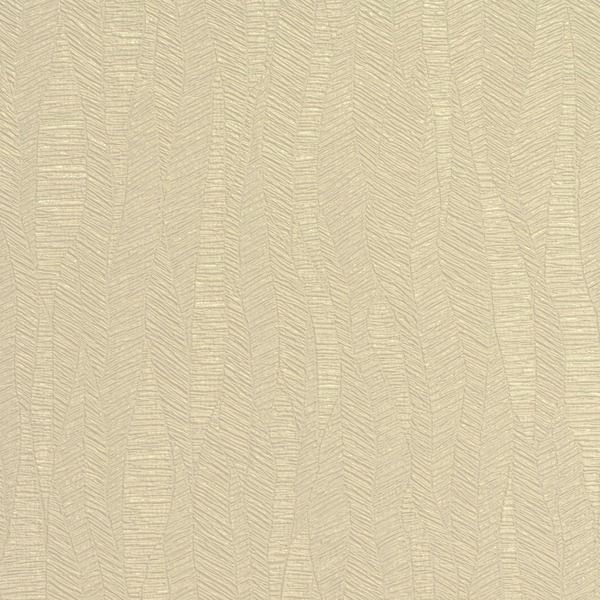 Featured Product Image