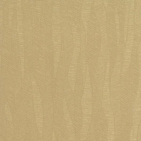 Featured Product Image