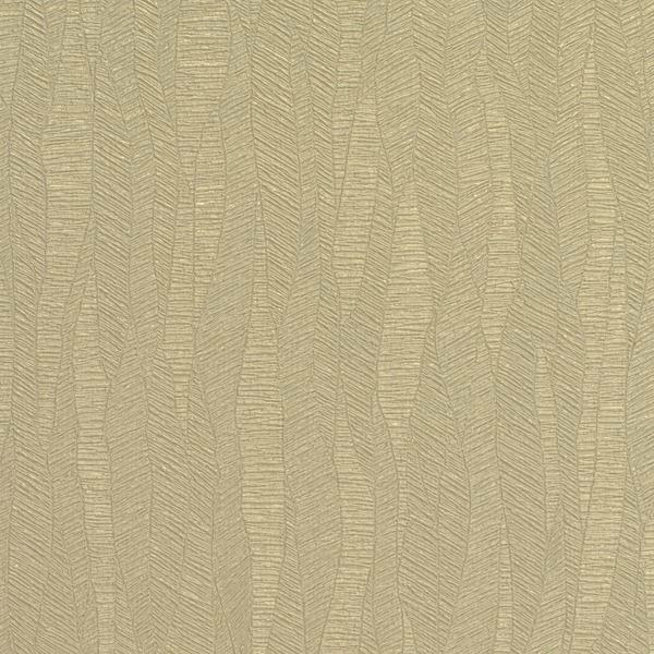 Featured Product Image