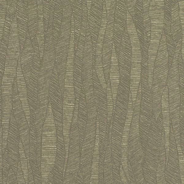 Featured Product Image