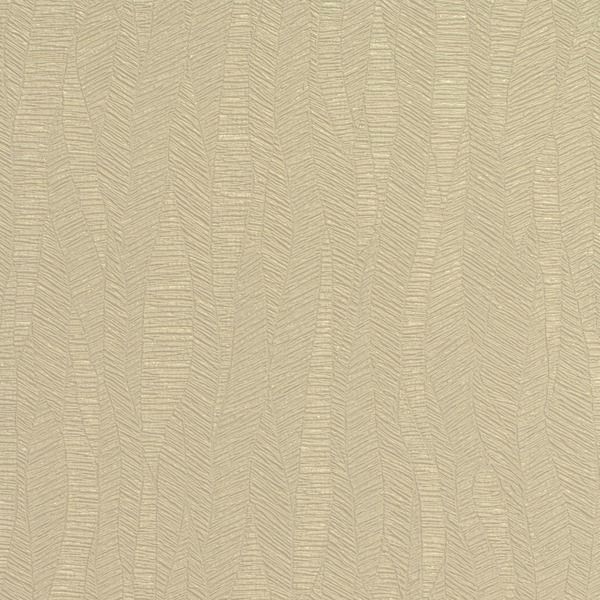 Featured Product Image