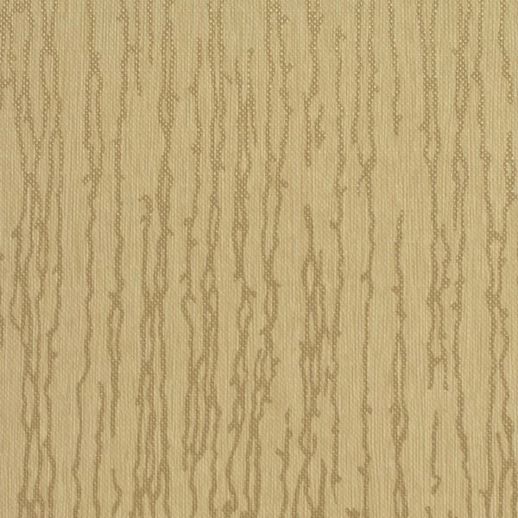  Encore Owen Desert Lily