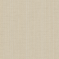 Raising Cain SKYDIVE