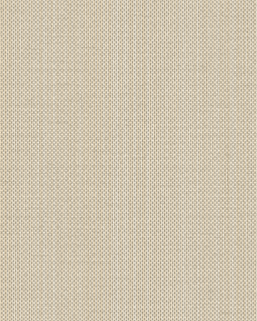  Vycon Contract Raising Cain SKYDIVE