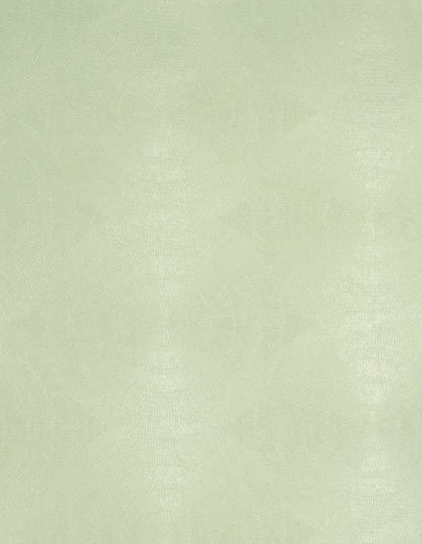 Featured Product Image