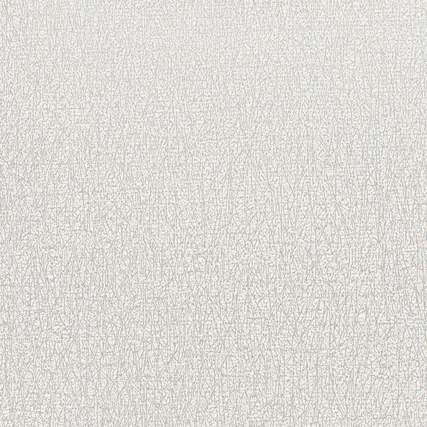 Featured Product Image