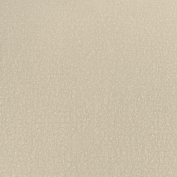 Featured Product Image