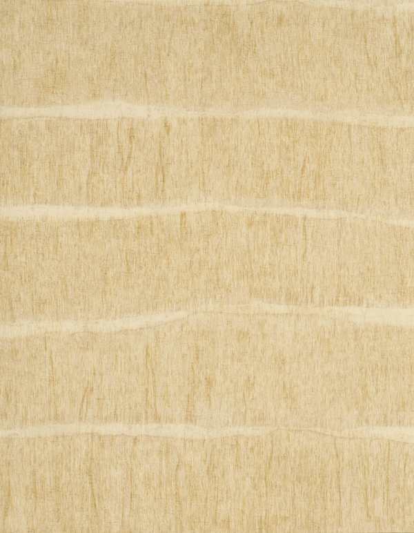 Featured Product Image