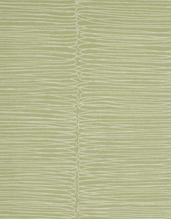 Featured Product Image