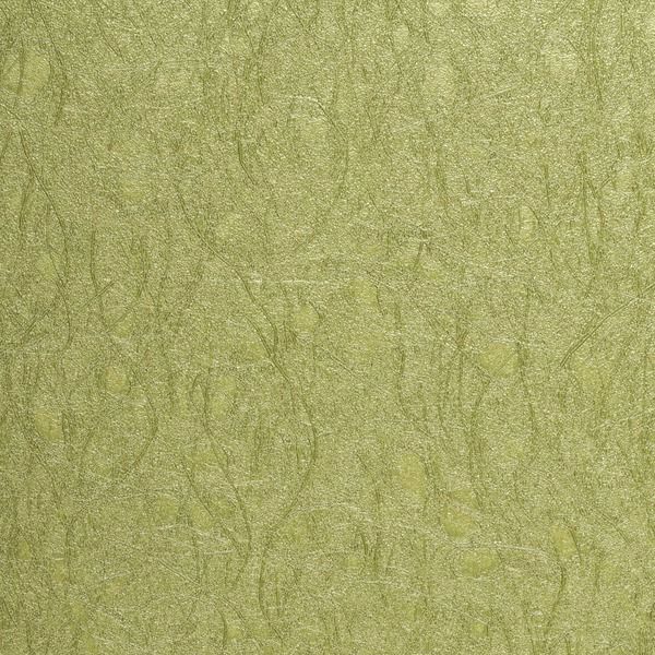 Vinyl Wall Covering Jonathan Mark Designs Serenity Green Tamborine