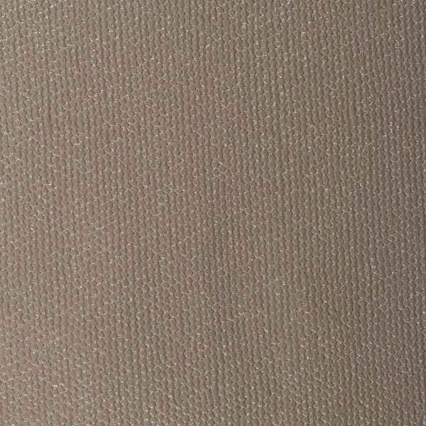 Vinyl Wall Covering Jonathan Mark Designs Twinkle Silver Spurs
