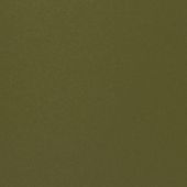 Paint & Finishes image