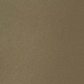 Paint & Finishes image