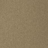 Paint & Finishes image