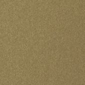 Paint & Finishes image