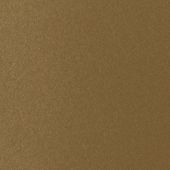 Paint & Finishes image