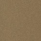 Paint & Finishes image