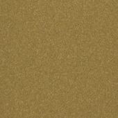 Paint & Finishes image