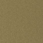 Paint & Finishes image