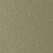 Paint & Finishes image