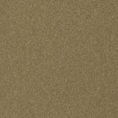 Paint & Finishes image