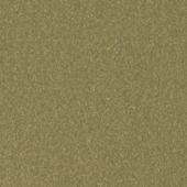 Paint & Finishes image