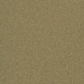 Paint & Finishes image