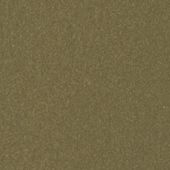 Paint & Finishes image