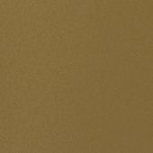 Paint & Finishes image