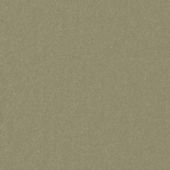 Paint & Finishes image