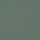 Paint & Finishes image