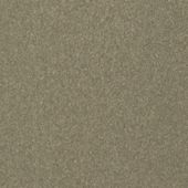 Paint & Finishes image