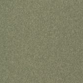 Paint & Finishes image