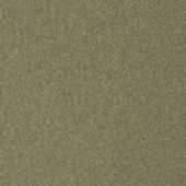 Paint & Finishes image