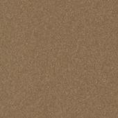 Paint & Finishes image