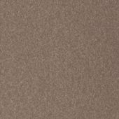 Paint & Finishes image