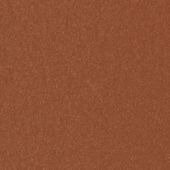 Paint & Finishes image