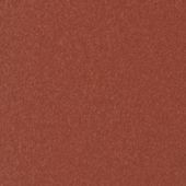 Paint & Finishes image