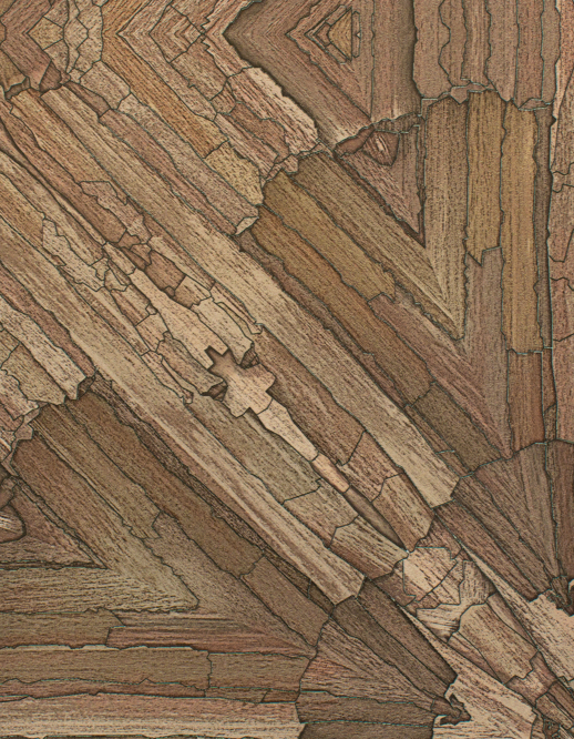  Esquire Apricus Autumn