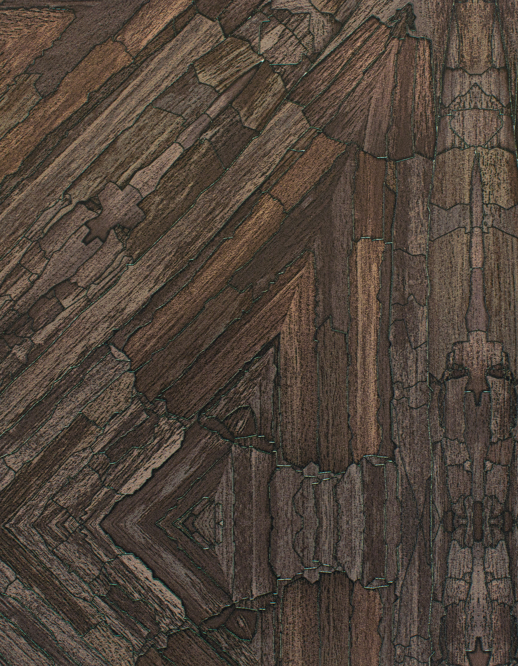  Esquire Apricus Jacbean