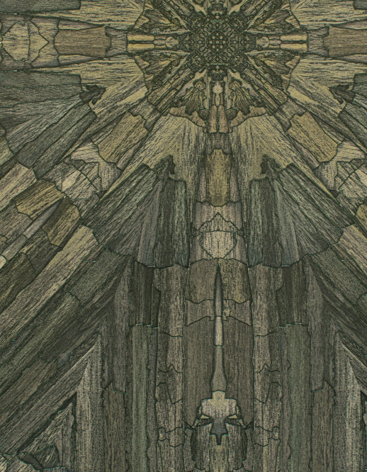  Esquire Apricus Rustic Olive