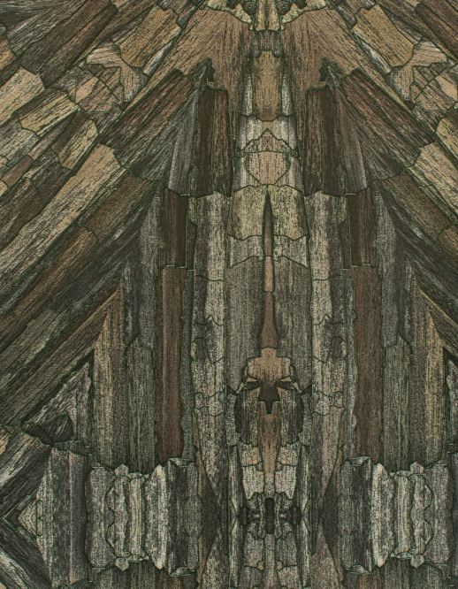  Esquire Apricus Kona