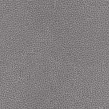 Neptune Brushed Aluminum