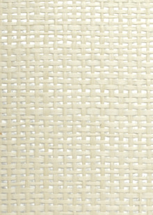 Barclay Butera Paperweave Room Scene