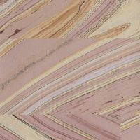 Dazzling Mystere Orchid