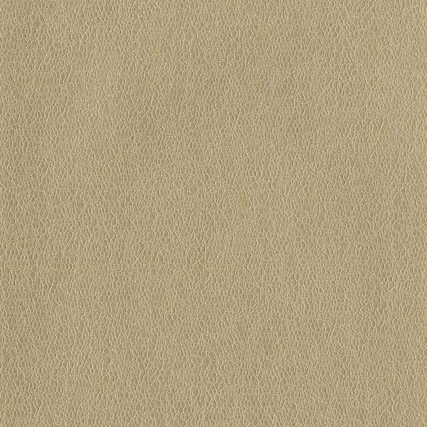 Vinyl Wall Covering Candice Olson Couture Spritz Camel