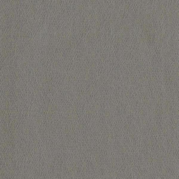 Vinyl Wall Covering Candice Olson Couture Spritz Ash