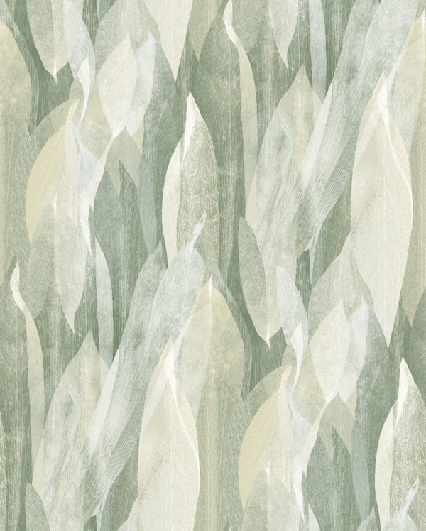 Featured Product Image