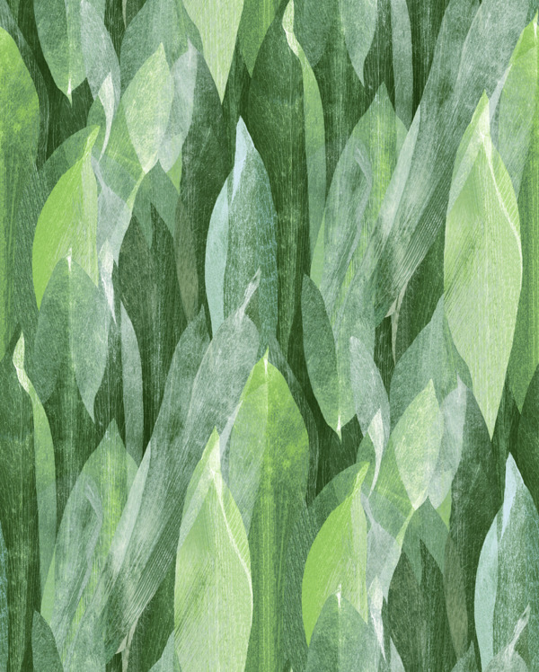 Featured Product Image